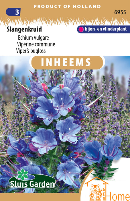Slangenkruid Zaden: Een prachtige blauw bloeiende plant die vlinders en bijen aantrekt. Perfect voor een kleurrijke, biodiverse en onderhoudsvriendelijke tuin