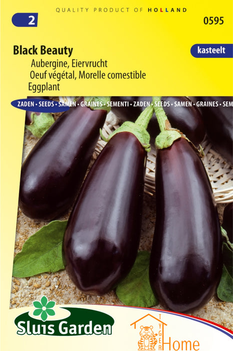 Black Beauty Aubergine Eiervrucht Zaden: Kweek Heerlijke, Donkerpaarse Aubergines - Grow Delicious, Dark Purple Eggplants