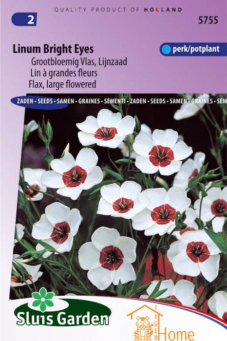 Linum Bright Eyes Zaden, Grootbloemig Vlas - Linum Bright Eyes Seeds, Large Flowered Flax - Graines de Lin à Grandes Fleurs Bright Eyes