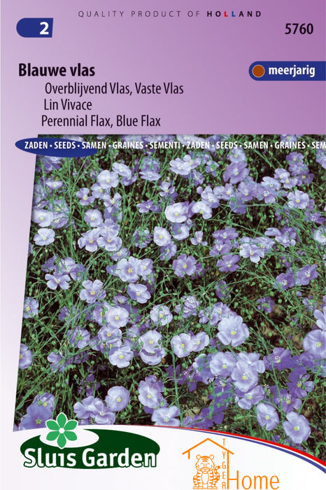 Blauwe Vlas Zaden - Meerjarige Tuinplant met Lichtblauwe Bloemen - Ideaal voor Borders, Rotstuinen en Bijvriendelijke Tuinen