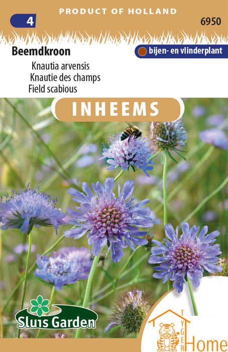 Beemdkroon Zaden: Een mooi inheems bloemenparadijs dat vlinders en insecten aantrekt. Perfect voor een kleurrijke, biodiverse en onderhoudsvriendelijke tuin