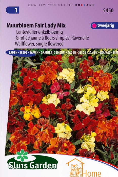 Muurbloem Fair Lady Mix Lenteviolier Enkelbloemig Bloemen Zaden voor de Tuin: Kweek Prachtige, Enkelbloemige Lenteviolieren - Grow Beautiful, Single-Flowered Wallflower Flowers - Cultivez de Magnifiques Fleurs de Giroflée Simple pour le Jardin