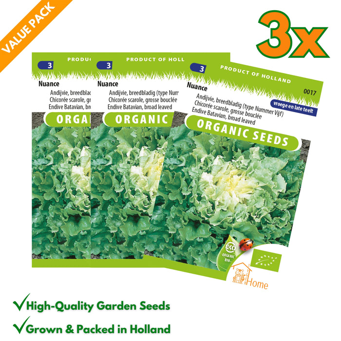 Andijvie zaden – Nuance | Biologisch | Breedbladige Bataviasla - 3x