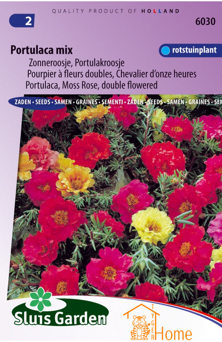 Portulaca Dubbelbloemig Gemengd Zaden, Dubbelbloemige Zomerbloeier - Portulaca Double Flowered Mix Seeds, Vibrant Summer Bloomer - Graines de Portulaca à Fleurs Doubles Mélangées, Floraison d'Été