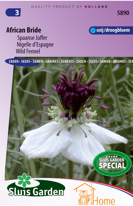 African Bride Zaden, Elegante Spaanse Juffer: Kweek prachtige, elegante bloemen in je tuin. African Bride Seeds, striking wild fennel for a unique garden display. Graines de Nigelle d'Espagne, fleur exquise pour un jardin raffiné.