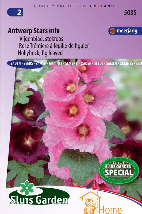 Antwerp Stars Mix Vijgenblad Stokroos Zaden: Kweek prachtige, kleurrijke vijgenblad stokrozen in je tuin. Grow beautiful, colorful fig-leaf hollyhocks for a vibrant garden. Cultivez de magnifiques roses trémières à feuilles de figuier pour un jardin éclatant.