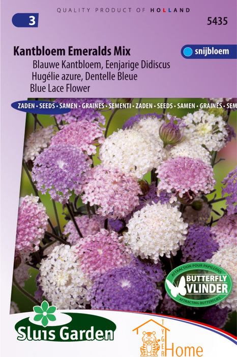 Kantbloem Emeralds Mix Blauwe Kantbloem Eenjarige Didiscus Bloemen Zaden voor de Tuin: Kweek Prachtige, Fijngevederde Bloemen - Grow Beautiful, Annual Blue Lace Didiscus Flowers - Cultivez de Magnifiques Fleurs de Dentelle