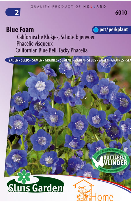 Droombijenvoer Blue Foam Zaden, Phacelia voor Bestuivers - Blue Foam Bee Dream Seeds, Pollinator-Friendly Phacelia