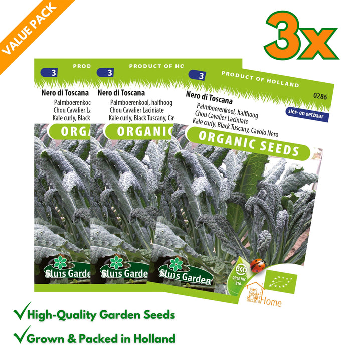 Palmkool Nero di Toscana | Italiaanse cavolo nero | Donkergroene bladeren, rijke smaak | Perfect voor stoofschotels en salades - 3x