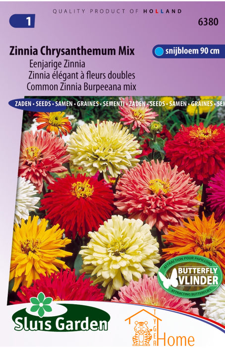 Zinnia Chrysanthemum Mix Eenjarige Zinnia Snijbloem 90 cm Zaden: Kweek Prachtige, Dubbele Bloemen - Grow Beautiful, Annual Cut Flowers