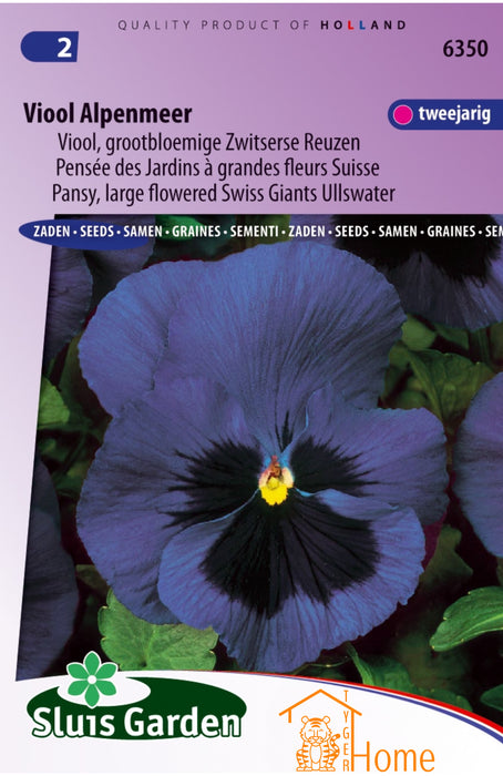 Viool Alpenmeer Zaden – Grootbloemige Zwitserse Reuzen Viola met Diepblauwe Bloemen en Donker Hart – Winterhard, Langdurige Bloei, Ideaal voor Tuin en Potten