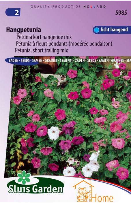 Petunia Kort Hangende Mix Zaden, Compacte Hangpetunia - Petunia Short Trailing Mix Seeds, Compact Hanging Variety - Graines de Pétunia Retombant Compact, Mélange