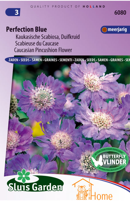 Duifkruid Perfection Blue Zaden, Sierlijke Vaste Plant - Scabiosa Perfection Blue Seeds, Elegant Perennial