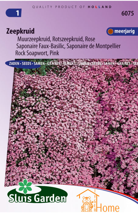Zeepkruid Zaden - Meerjarige Bodembedekker met Roze Bloemen voor Rotstuinen, Muurtuinen en Borders - Onderhoudsvriendelijk en Vlindervriendelijk