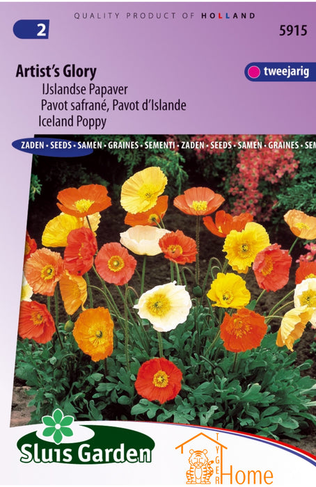 Artist's Glory Zaden, Tweejarige IJslandse Papaver - Artist's Glory Seeds, Iceland Poppy - Graines de Pavot d'Islande Artist's Glory