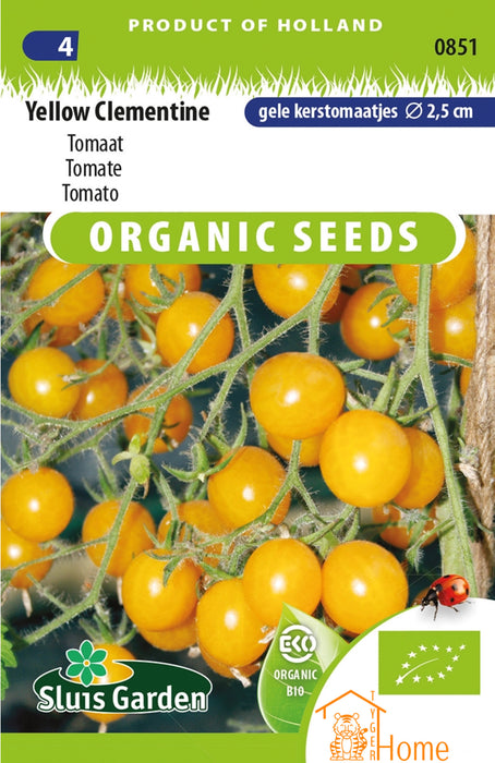 Yellow Clementine Tomaat Zaden: Kweek Heerlijke, Gouden Tomaten met Zoete Smaak en Sappige Textuur, Perfect voor Salades, Snacks en Mediterrane Gerechten