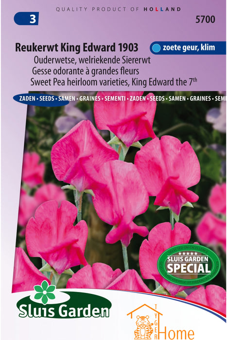 Reukerwt King Edward 1903 Zaden, Ouderwetse Welriekende Siererwt - Sweet Pea King Edward VII Seeds, Heirloom Varieties - Graines de Gesse Odorante King Edward VII, Variétés Anciennes
