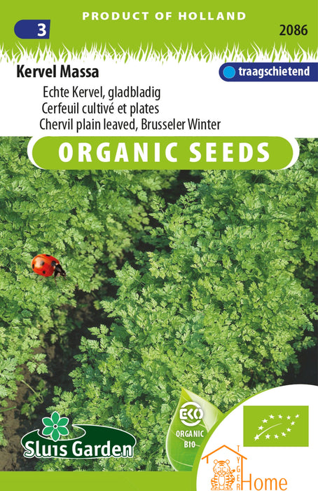Kervel Massa Echte Kervel Gladbladig Zaden: Kweek Heerlijke, Aromatische Kervel met Zachte Bladeren en Fijne Anijsachtige Smaak voor Soepen, Salades en Kruidenmengsels
