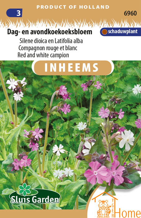 Dag- en Avondkoekoeksbloem Zaden: Twee prachtige bloemen die je tuin opfleuren en vlinders en bijen aantrekken. Gemakkelijk te kweken en onderhoudsvriendelijk
