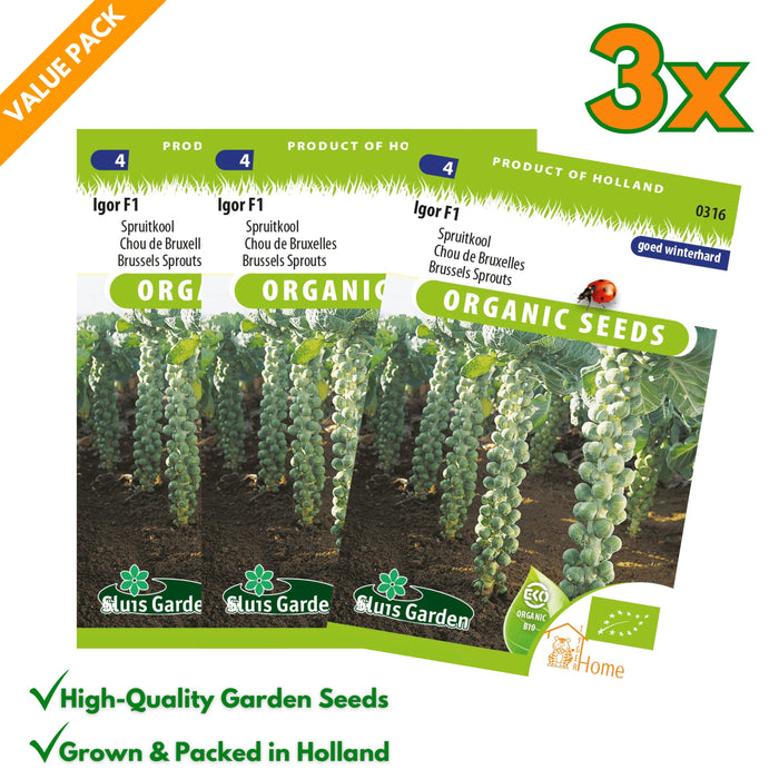 Spruitkool Igor F1 | Biologische zaden | Winterhard & productief | Heerlijk voor stoofpotten en ovenschotels - 3x