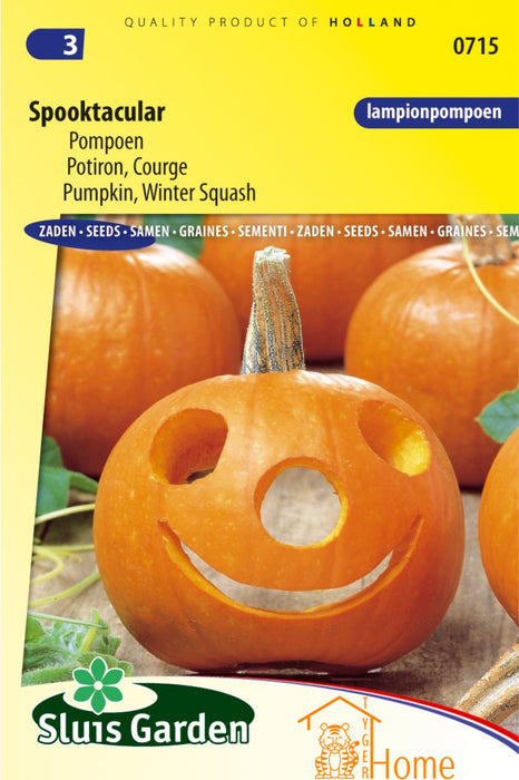 Spooktacular Pompoen Zaden: Kweek Heerlijke, Decoratieve Pompoenen met Stevige Schil en Zoete Smaak, Perfect voor Halloween, Soepen en Geroosterde Gerechten