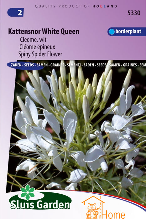 Kattensnor White Queen Cleome Wit Bloemen Zaden voor de Tuin: Kweek Prachtige, Witte Kattensnor Bloemen - Grow Beautiful, White Spider Flower - Cultivez de Magnifiques Fleurs de Cléome Blanches pour le Jardin