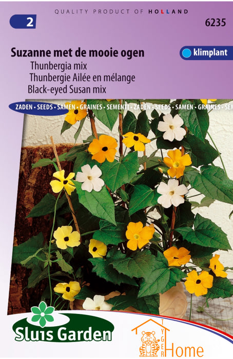 Suzanne met de Mooie Ogen Thunbergia Mix Klimplant Zaden: Kweek Prachtige, Kleurrijke Klimplanten