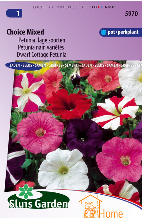 Petunia Lage Soorten Gemengd Zaden, Compacte Petunia voor Potten en Borders - Dwarf Mixed Petunia Seeds, Ideal for Containers and Borders - Graines de Pétunia Nains Mélangés, Pour Pots et Bordures
