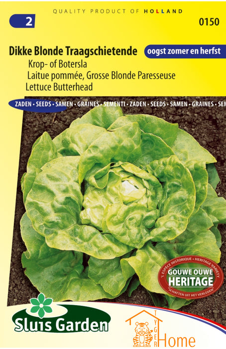 Dikke Blonde Traagschietende Krop- of Botersla Zaden voor het kweken van voedzame, heerlijke en knapperige sla in je eigen tuin. Perfect voor frisse salades en gezonde maaltijden, met een lange oogstperiode.