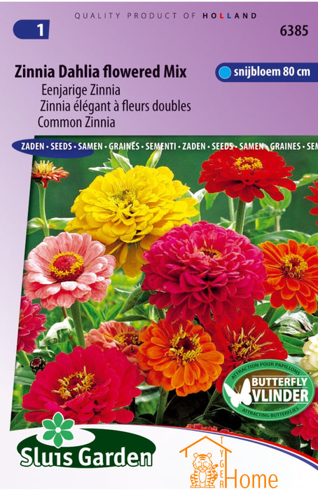 Zinnia Dahlia Flowered Mix Eenjarige Zinnia Snijbloem 80 cm Butterfly Vlinder Aantrekking Zaden: Kweek Prachtige, Dubbele Bloemen - Grow Beautiful, Annual Cut Flowers - Cultivez de Magnifiques Zinnias Annuels à Fleurs de Dahlia pour Attirer les Papil