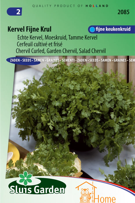 Kervel Fijne Krul Echte Kervel Moeskruid Zaden: Kweek Heerlijke, Aromatische Kervel met Fijne Bladeren en Subtiele Anijsachtige Smaak voor Soepen, Salades en Sauzen
