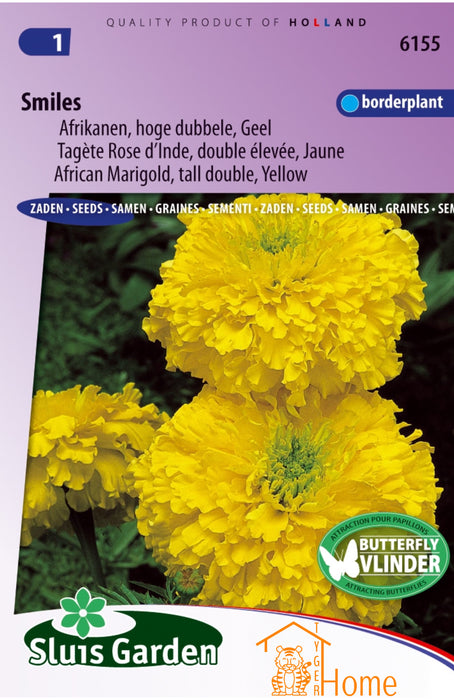 Afrikanen Zaden Smiles - Hoge Dubbele Gele Bloemen voor Borders en Tuinen