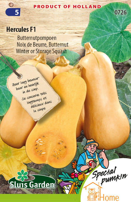 Hercules F1 Butternutpompoen Zaden: Grow Sweet, Nutty Squash in Your Own Garden - Kweek Heerlijke, Nootachtige Butternutpompoenen