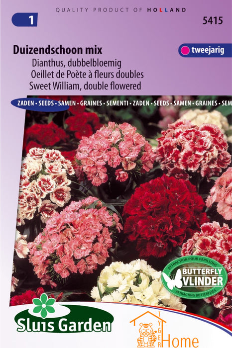 Duizendschoon Mix Dianthus Dubbelbloemig Bloemen Zaden voor de Tuin: Kweek Prachtige, Dubbelbloemige Dianthus Bloemen
