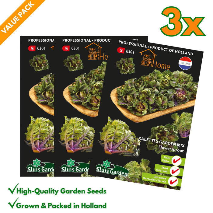 Kalettes Garden Mix | Flowersprout | Unieke kruising van spruitjes en boerenkool | Heerlijk gezond en veelzijdig - 3x