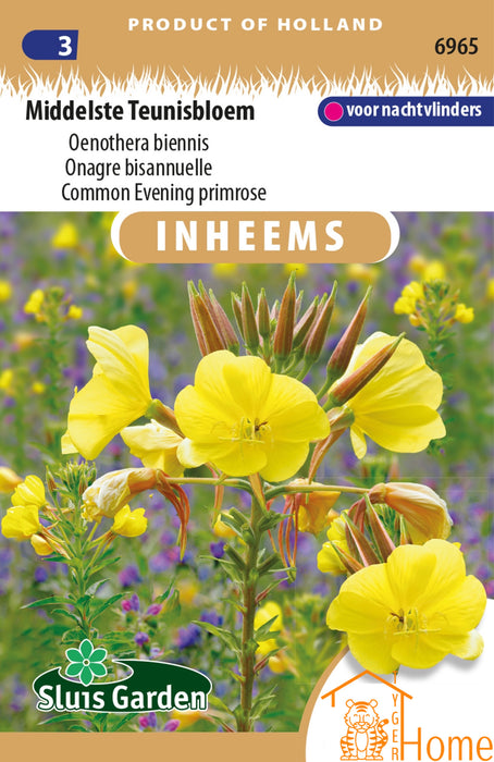 Middelste Teunisbloem Zaden: Nachtbloeiend wonder met gele bloemen die bijen en nachtvlinders aantrekt. Perfect voor een kleurrijke en biodiverse tuin