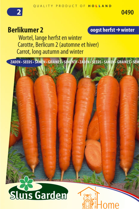 Berlikumer 2 Wortel Zaden: Kweek Heerlijke, Lange Herfst- en Winterwortelen - Grow Delicious, Long Autumn and Winter Carrots