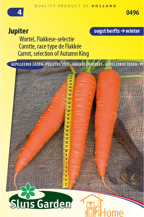 Flakkese 2 Wortel, Verbeterde Selectie Zaden: Kweek Heerlijke, Zoete Herfst- en Winterwortelen - Grow Delicious, Sweet Autumn and Winter Carrots