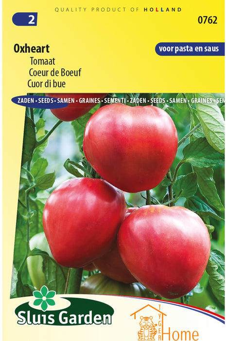 Oxheart Tomaat Zaden: Kweek Heerlijke, Sappige Tomaten met Zoete Smaak en Vlezige Textuur voor Salades, Sauzen, Sandwiches en Mediterrane Gerechten