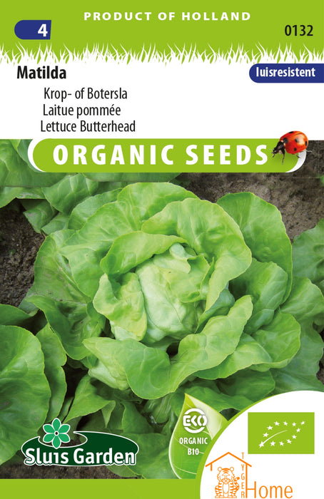 Matilda Krop- of Botersla Zaden voor het kweken van voedzame, heerlijke en knapperige sla in je eigen tuin. Perfect voor frisse salades en gezonde gerechten met een zachte, boterachtige textuur.