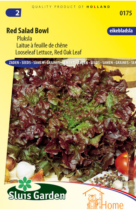 Red Salad Bowl Pluksla Zaden voor het kweken van voedzame, heerlijke en knapperige rode pluksla in je eigen tuin. Perfect voor een frisse en kleurrijke oogst, ideaal voor gezonde salades en maaltijden.