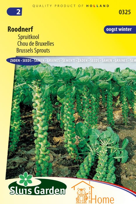 Roodnerf Spruitkool Zaden: Kweek voedzame, heerlijke en knapperige spruiten met opvallende rode nervenkleuring. Perfect voor unieke en smaakvolle gerechten.