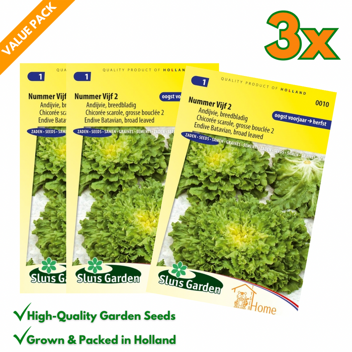 Andijvie zaden – Nummer Vijf 2 | Breedbladige Bataviasla - 3x