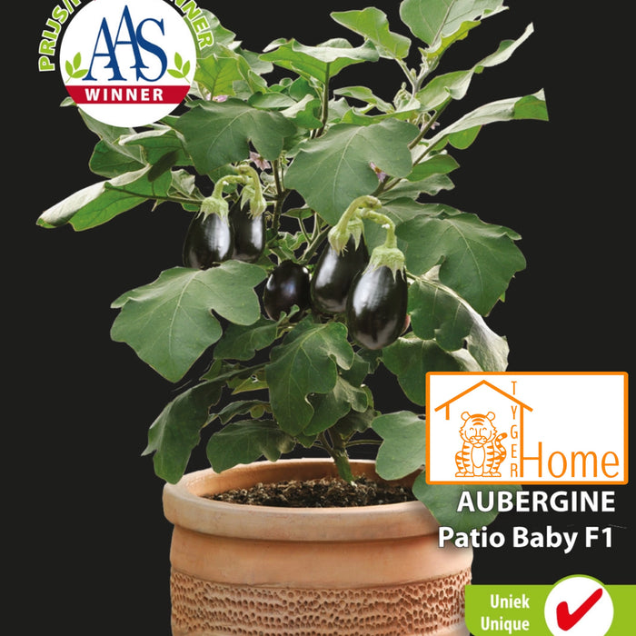 Ontdek de Voordelen van de Aubergine Patio Baby F1: Perfect voor Jouw Terras!