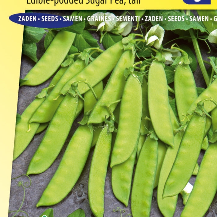Zaaikalender Februari – De Perfecte Tijd om te Zaaien in je Moestuin!