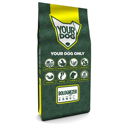 Ontdek Geluk met Klavertje Vier: Een Stapsgewijze Handleiding voor Bere-blij met Geluksklaver