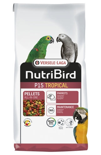 Anijs kweken binnen: voeg een vleugje warmte en smaak toe aan je winter! 🌱