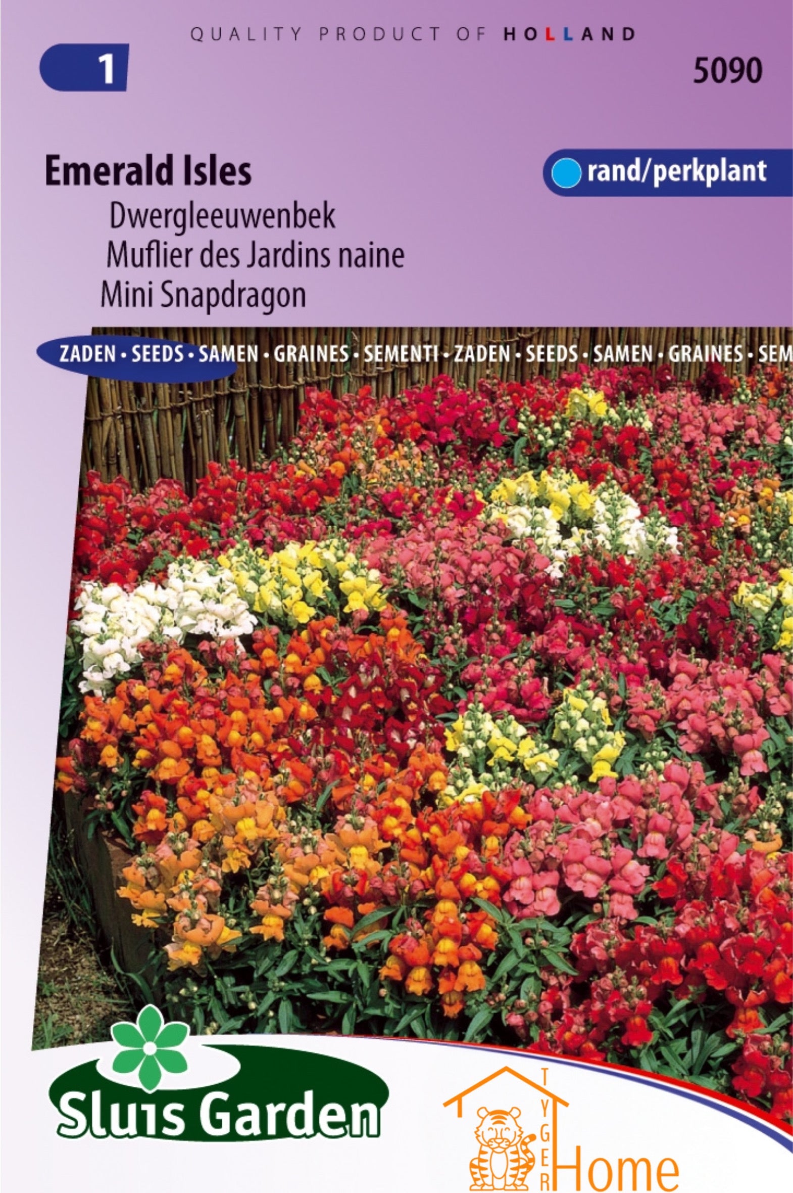Creëer een tuin vol smaak en gezondheid met deze vier zaadjes 🌱