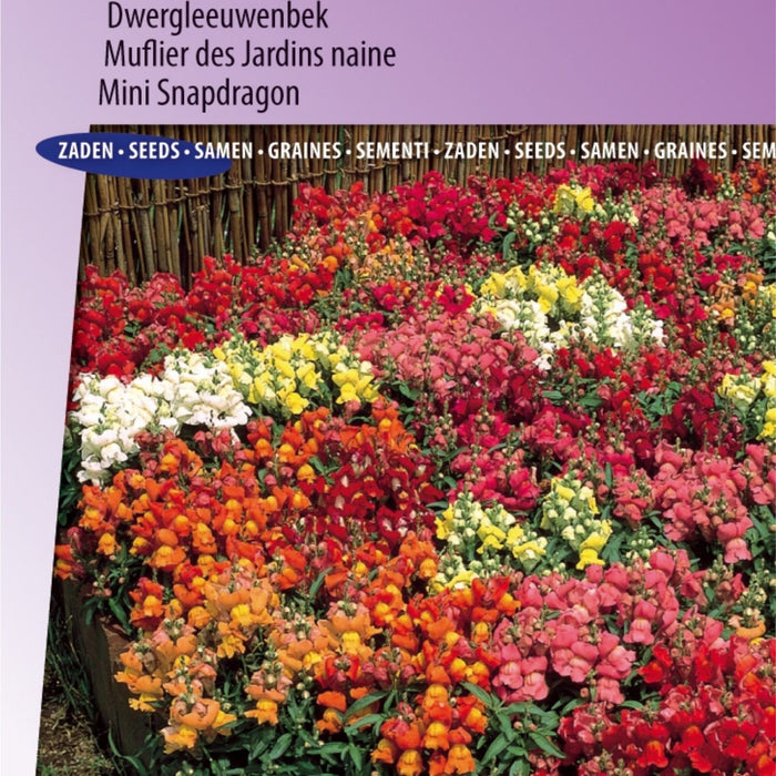Creëer een tuin vol smaak en gezondheid met deze vier zaadjes 🌱