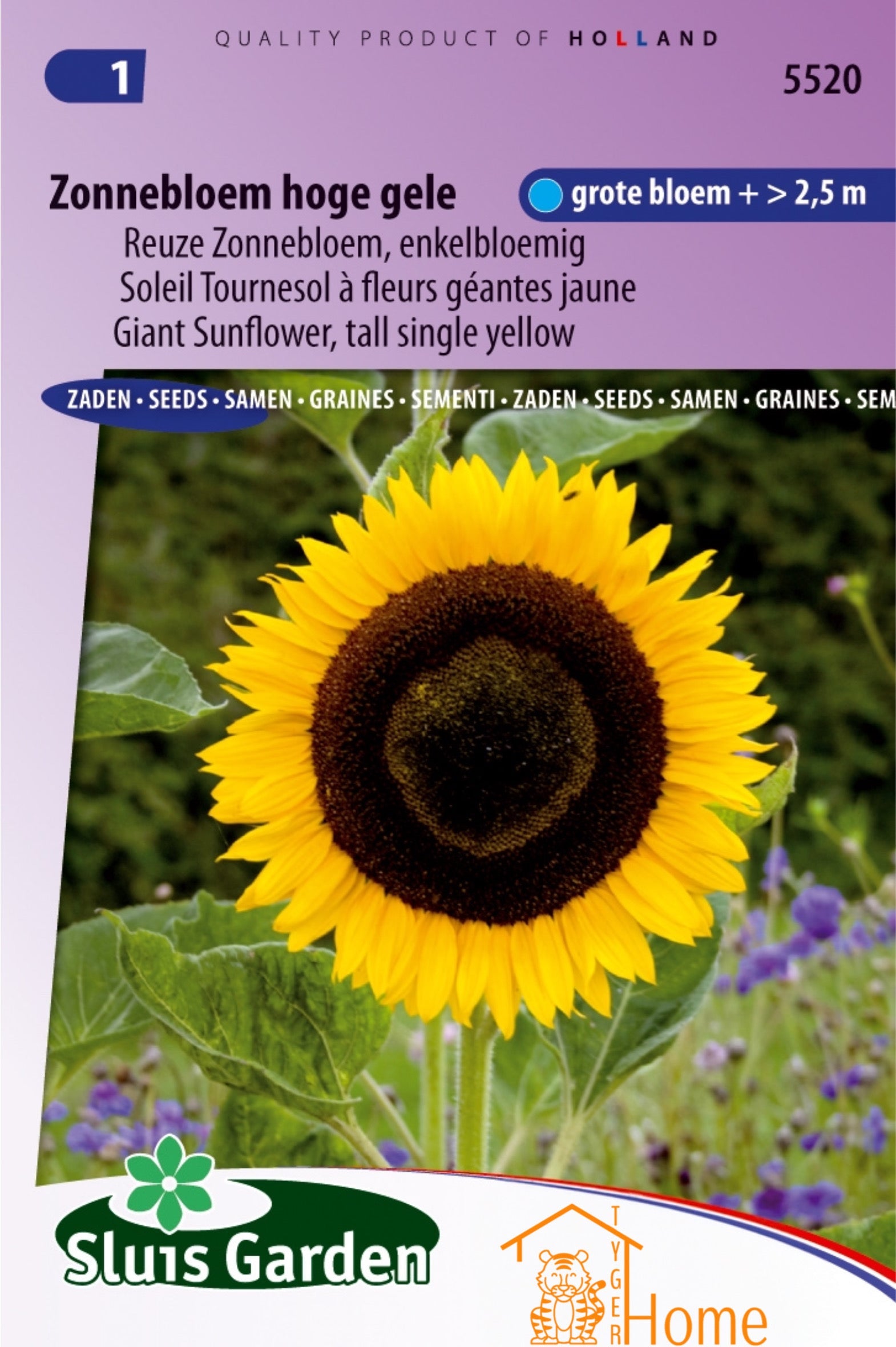 Beleef de Zomer met Amsterdamse Bak Amfine Primeurwortel Zaden
